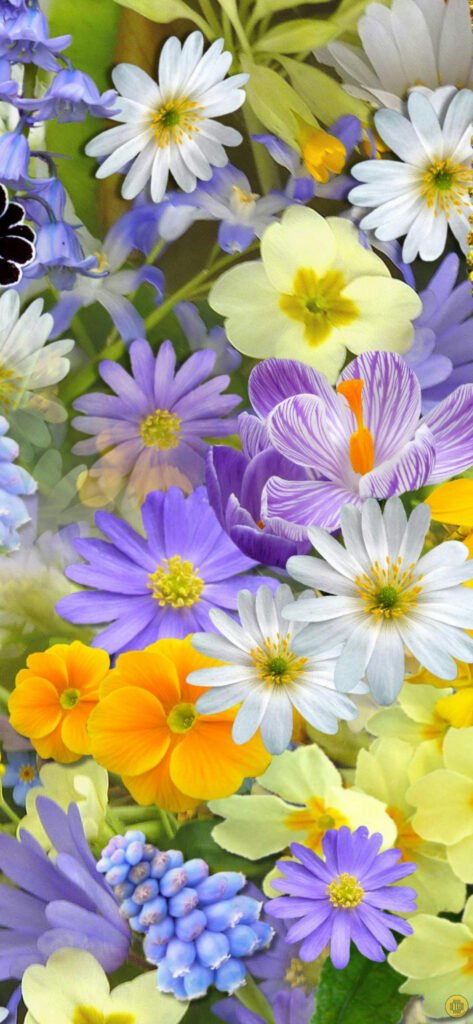 Bed of flowers