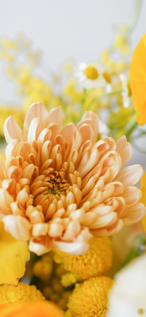 Flower wallpapers for Android